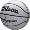 WILSON NBA Player Icon UV Basketball – Giannis Antetokounmpo, Size 7-29.5″