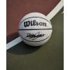 WILSON NBA Player Icon UV Basketball – Lebron James, Size 7-29.5″
