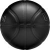 Wilson NBA Team Premiere Basketballs – Size 7-29.5″(Charlotte Hornets)