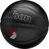 Wilson NBA Team Premiere Basketballs – Size 7-29.5″(Portland Trailblazers)