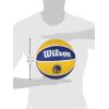 Wilson NBA Team Tribute Basketballs – Size 7-29.5″(Golden State Warriors)