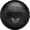 Wilson NBA Team Premiere Basketballs – Size 7-29.5″(Charlotte Hornets)
