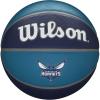 Wilson NBA Team Tribute Basketballs – Size 7-29.5″(Charlotte Hornets)