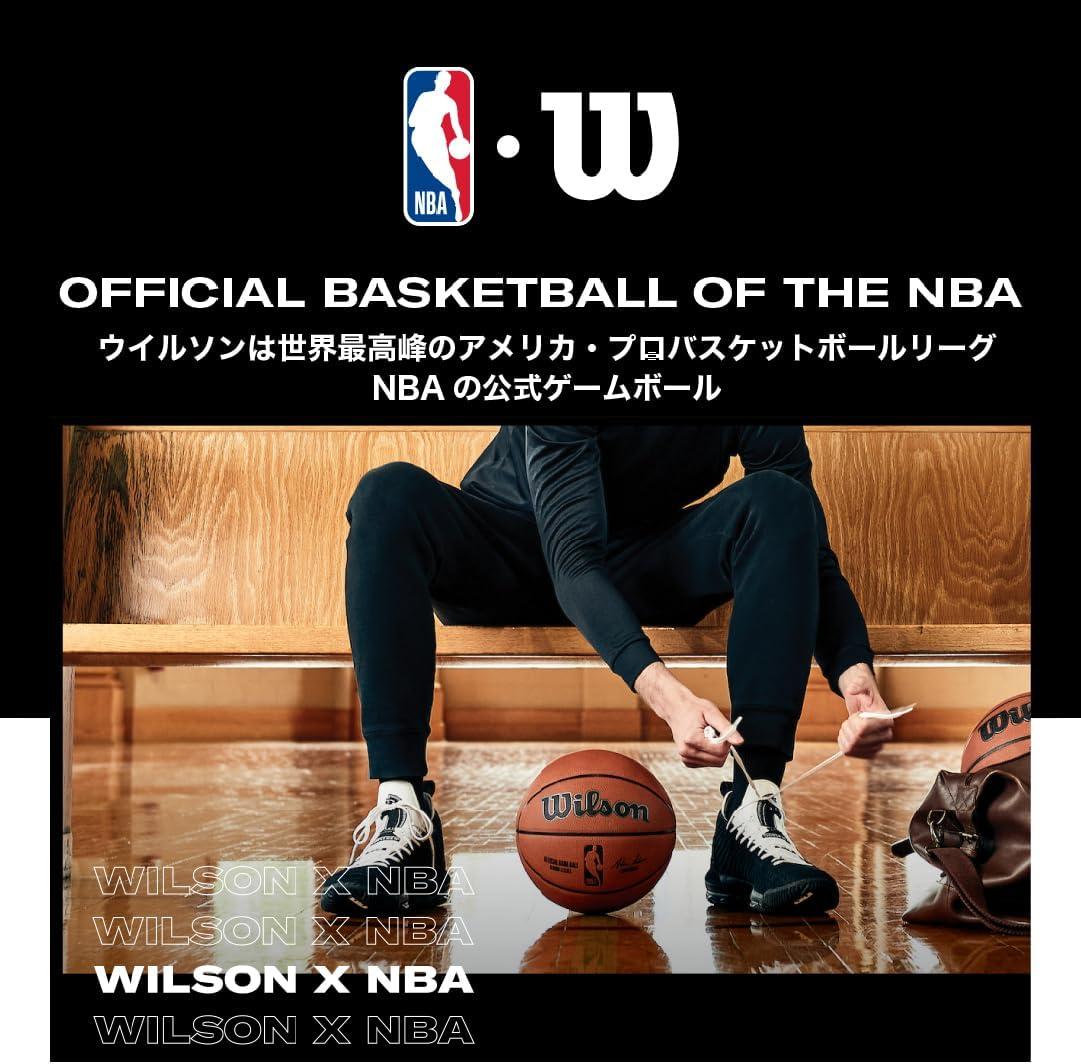 imageWilson NBA Forge Series IndoorOutdoor BasketballsBlue Grey