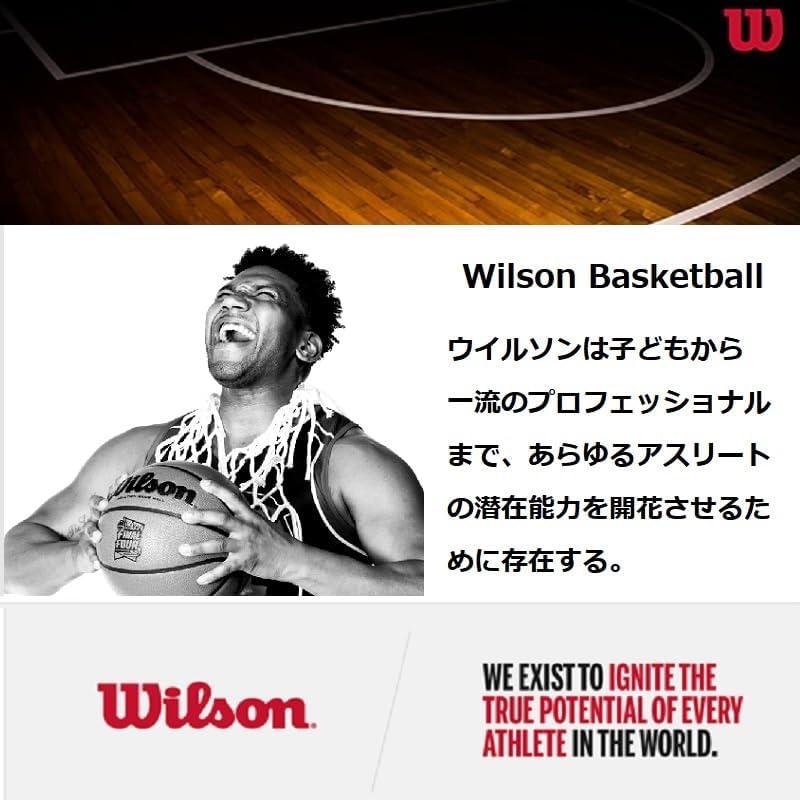 imageWilson NBA Forge Series IndoorOutdoor BasketballsBrown