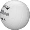 WILSON AVP Soft Play Volleyball – Official Size(White)