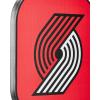 WILSON NBA Collection Fierce Team Pickleball Paddles – Grip Size 2-4 1/4″(Portland Trail Blazers)