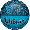 WILSON NBA Team Graffiti Basketballs – Size 7-29.5″(Charlotte Hornets)
