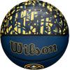 WILSON NBA Team Graffiti Basketballs – Size 7-29.5″(Denver Nuggets)