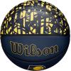 WILSON NBA Team Graffiti Basketballs – Size 7-29.5″(Indiana Pacers)