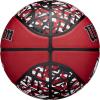 WILSON NBA Team Graffiti Basketballs – Size 7-29.5″(Miami Heat)