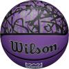 WILSON NBA Team Graffiti Basketballs – Size 7-29.5″(Sacramento Kings)