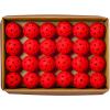 WILSON TRU 32 Pro Pickleball Case – 48 Balls, Red
