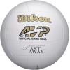 Wilson Cast Away Volleyballs – Mini and Official Size(Official)