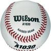 Wilson Champion Series Baseballs(9″ (1 Dozen))