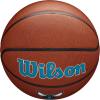 Wilson NBA Team Alliance Basketballs – Size 7-29.5″(Charlotte Hornets)