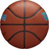 Wilson NBA Team Alliance Basketballs – Size 7-29.5″(Charlotte Hornets)