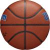 Wilson NBA Team Alliance Basketballs – Size 7-29.5″(Detroit Pistons)