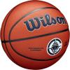 Wilson NBA Team Alliance Basketballs – Size 7-29.5″(Los Angeles Clippers)