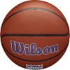 Wilson NBA Team Alliance Basketballs – Size 7-29.5″(Sacramento Kings)