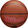 Wilson NBA Team Alliance Basketballs – Size 7-29.5″(Toronto Raptors)