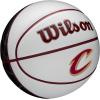 Wilson NBA Team Autograph Mini Basketballs – Size 3-22″(Cleveland Cavaliers)