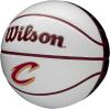 Wilson NBA Team Autograph Mini Basketballs – Size 3-22″(Cleveland Cavaliers)