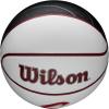Wilson NBA Team Autograph Mini Basketballs – Size 3-22″(Cleveland Cavaliers)