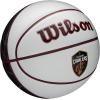 Wilson NBA Team Autograph Mini Basketballs – Size 3-22″(Cleveland Cavaliers (New Version))