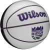 Wilson NBA Team Autograph Mini Basketballs – Size 3-22″(Sacramento Kings)