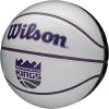 Wilson NBA Team Autograph Mini Basketballs – Size 3-22″(Sacramento Kings)