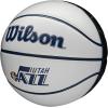 Wilson NBA Team Autograph Mini Basketballs – Size 3-22″(Utah Jazz)