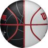 Wilson NBA Team Autograph Mini Basketballs – Size 3-22″(Washington Wizards)