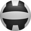 Wilson Nova Indoor Game Volleyballs – Official Size(Black/White)