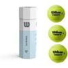 Wilson Triniti Tennis Balls(Single Can (3 Balls))