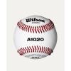 Wilson A1020 Champion Series SST Baseballs – 1 Dozen