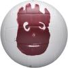 Wilson Cast Away Volleyballs – Mini and Official Size(Official)