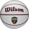 Wilson NBA Team Autograph Mini Basketballs – Size 3-22″(Cleveland Cavaliers (New Version))
