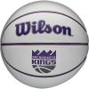 Wilson NBA Team Autograph Mini Basketballs – Size 3-22″(Sacramento Kings)