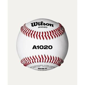 Wilson A1020 Champion Series SST Baseballs – 1 Dozen