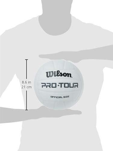 imageWilson Indoor Recreational Volleyballs Official SizeWhite