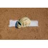 Wilson Fall 2025 A2000® Baseball Gloves(Blonde/Seafoam/Red)