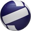 Wilson Helix Official Size Volleyballs(Blue/White)