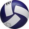 Wilson Helix Official Size Volleyballs(Blue/White)