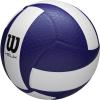 Wilson Helix Official Size Volleyballs(Blue/White)