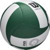 Wilson Helix Official Size Volleyballs(Green/White)