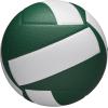 Wilson Helix Official Size Volleyballs(Green/White)