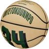 Wilson NBA Player Icon Basketballs – Size 3 and Size 7(Giannis Antetokounmpo)