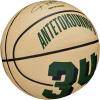 Wilson NBA Player Icon Basketballs – Size 3 and Size 7(Giannis Antetokounmpo)