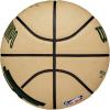 Wilson NBA Player Icon Basketballs – Size 3 and Size 7(Giannis Antetokounmpo)